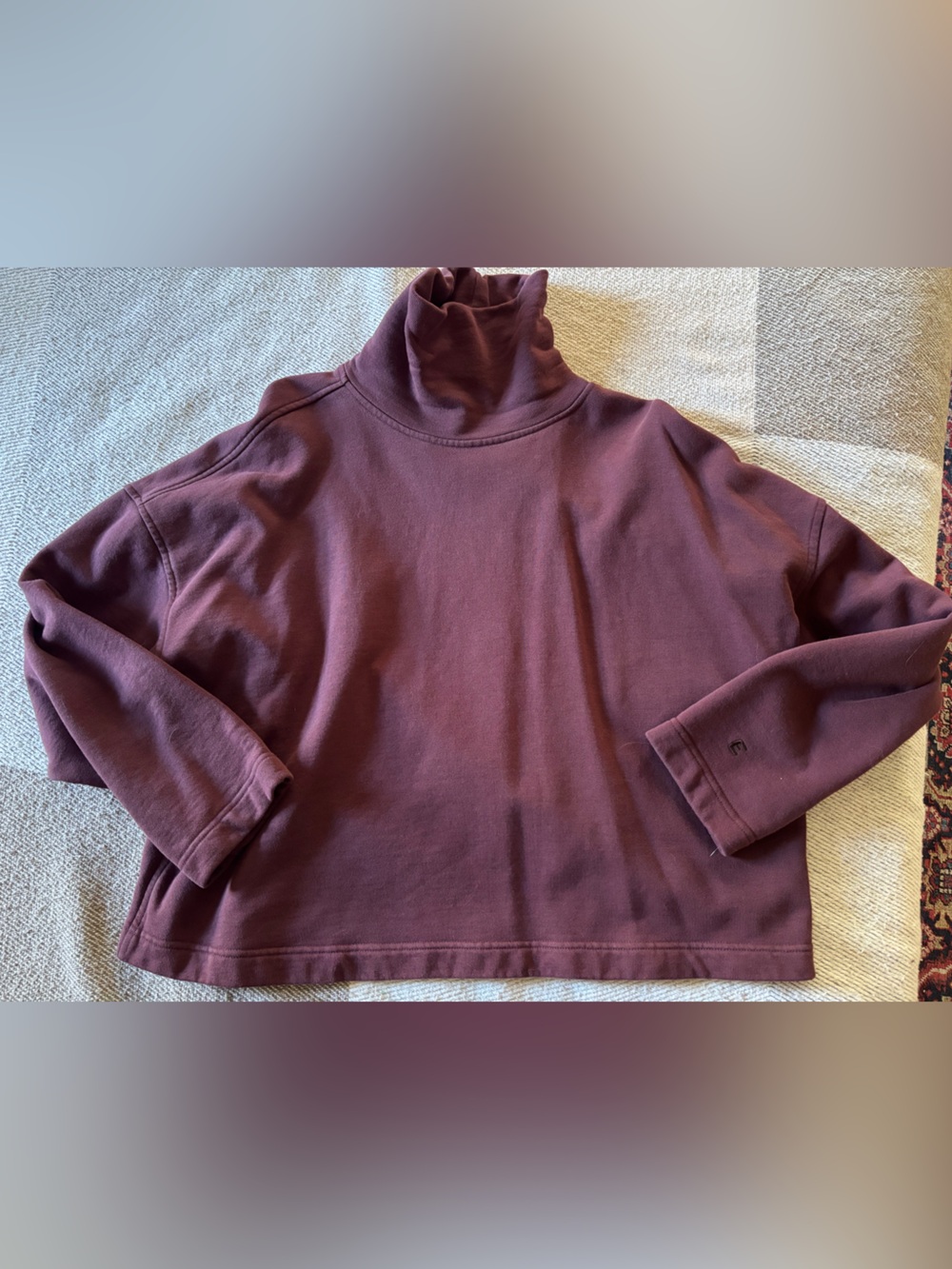 Everlane Organic Cotton Turtleneck Sweatshirt